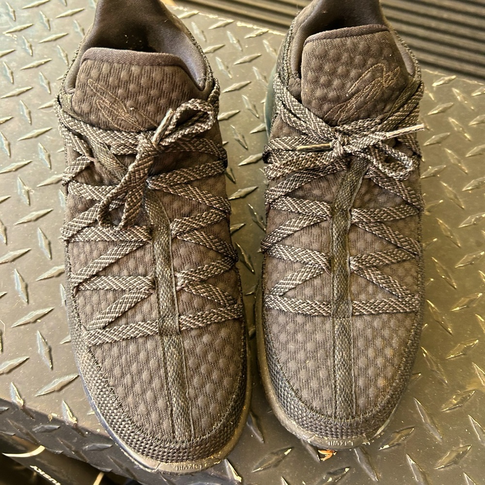 Size 10 lebron nine shoes